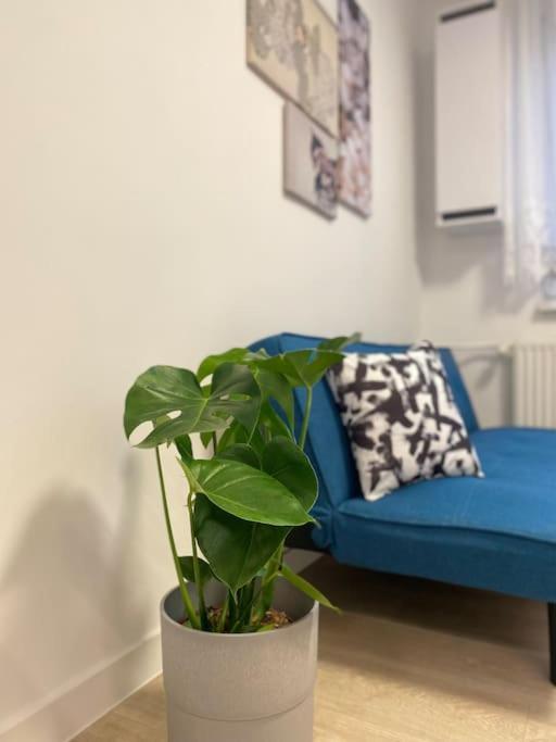 Apartman Kristina Štúrovo Esterno foto